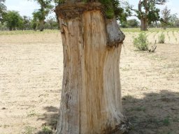 285624_10150261347944901_2166679_n